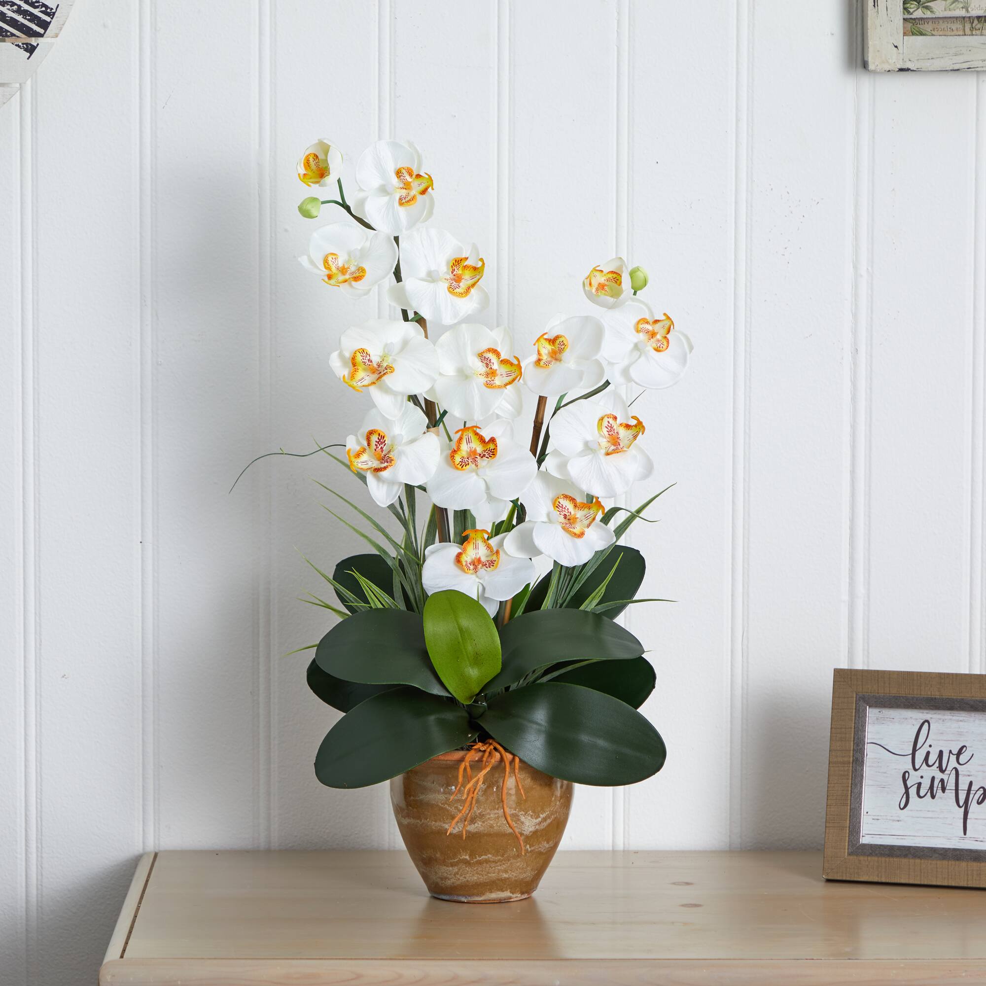 25" Double Phalaenopsis Silk Orchid Flower Arrangement in Ceramic Pot